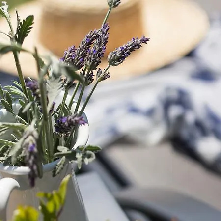 Apartment Garden *