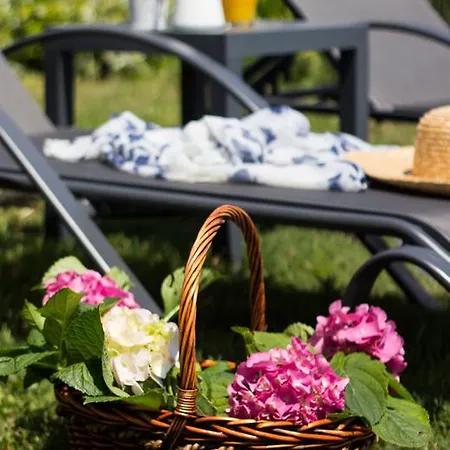 Διαμέρισμα Garden PalaiónTsiflíkion